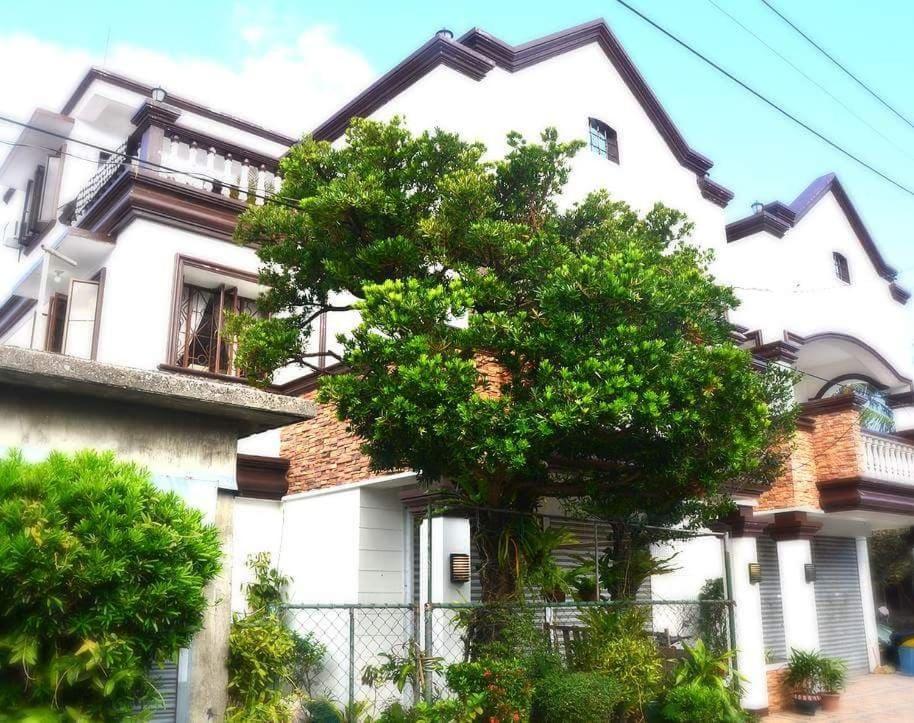 Florabells Iraya Guest House - Batanes Баско Экстерьер фото