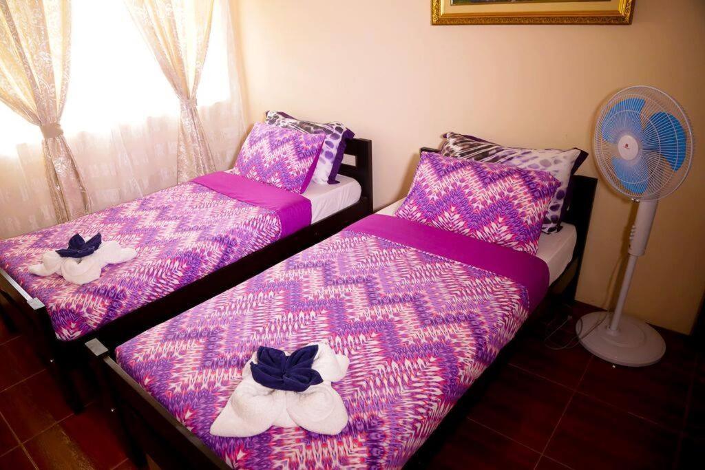 Florabells Iraya Guest House - Batanes Баско Экстерьер фото