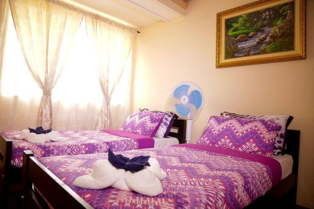 Florabells Iraya Guest House - Batanes Баско Экстерьер фото