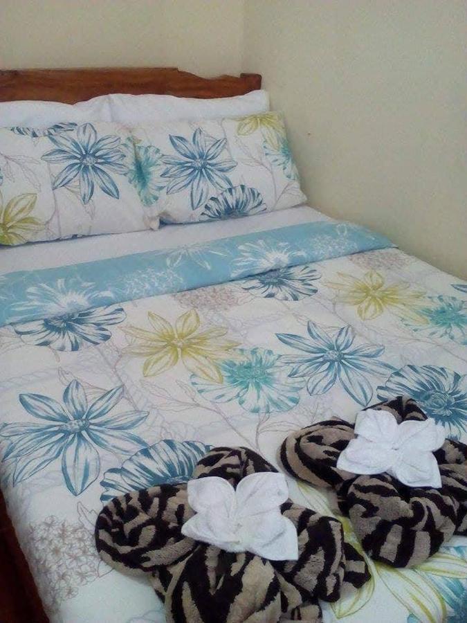 Florabells Iraya Guest House - Batanes Баско Экстерьер фото